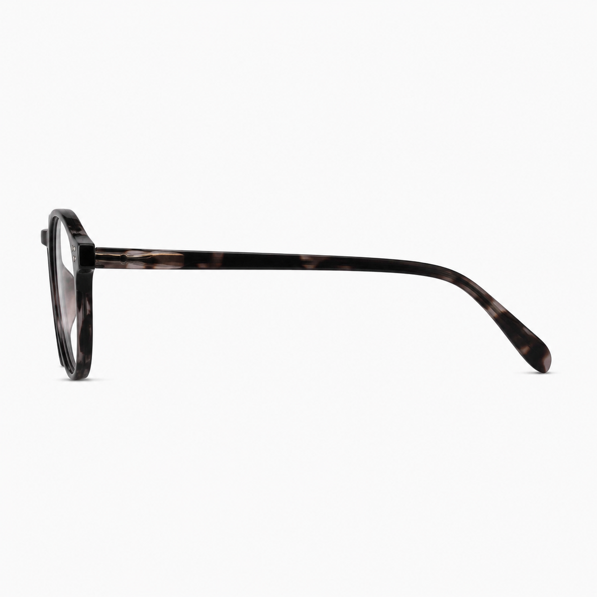 Tortoise Shell women's polycarbonate round-panto full-rim glasses, side-profile product view