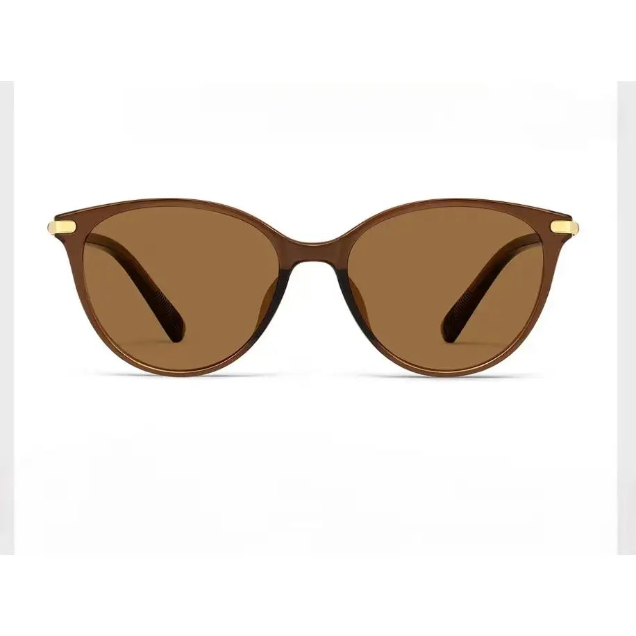 Women’s Brown full-rim oval cat-eye sunglasses, straight-on product view
